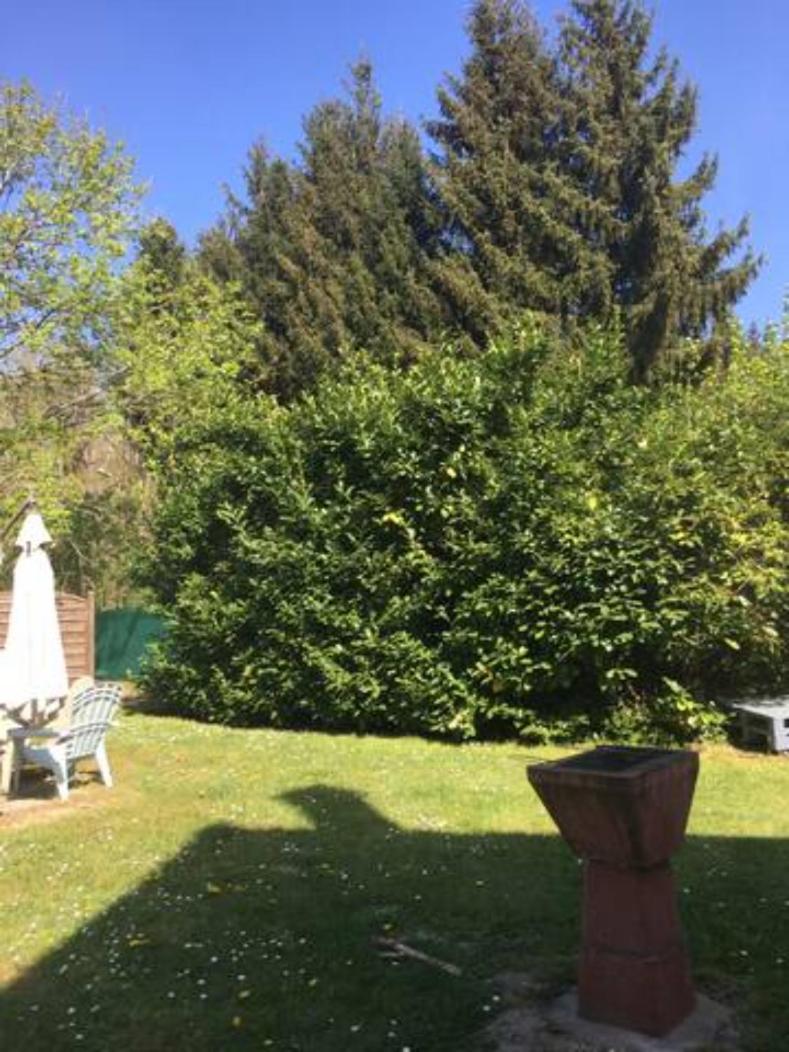 Gite Cosy Proche Fontainebleau Et Foret Noisy-sur-Ecole 외부 사진